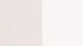 Mauricio Ochmann y Carmen Aub