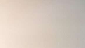 Líder en ventas en su segmento.