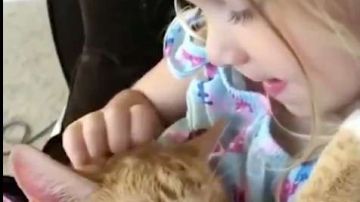 La pequeña Abbey le canta a su gatito Bailey.