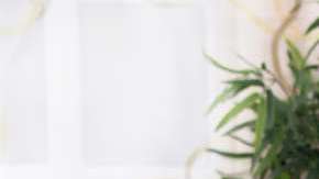 ‘Te dije que no tengo ganas’.  Todos los días salen nuevos artículos y programas de TV con consejos para aumentar la libido, como si el no sentir atracción sexual fuese un síntoma inequívoco de alguna enfermedad incurable.