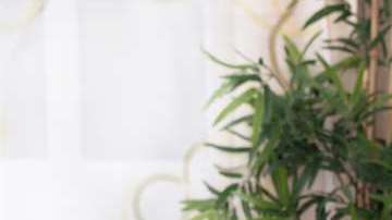 ‘Te dije que no tengo ganas’.  Todos los días salen nuevos artículos y programas de TV con consejos para aumentar la libido, como si el no sentir atracción sexual fuese un síntoma inequívoco de alguna enfermedad incurable.