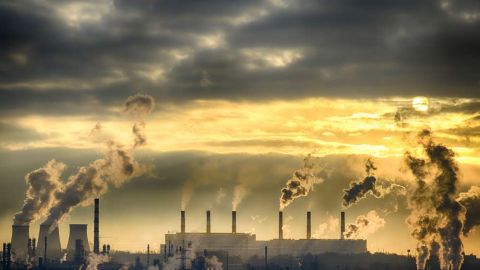 Cada año, los bosques, los océanos y los suelos de la Tierra absorben alrededor de 4,500 millones de toneladas de carbono.