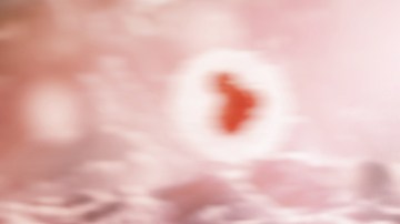 cáncer
