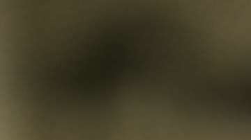 Toros Celaya transmitiría sus partidos como local a través de Facebook