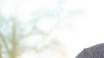 Si no lo aplicas adecuadamente no obtendrás los beneficios.