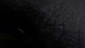 Durante años, el hombre ha mostrado su fascinación por el espacio exterior y la posibilidad de encontrar vida extraterrestre.