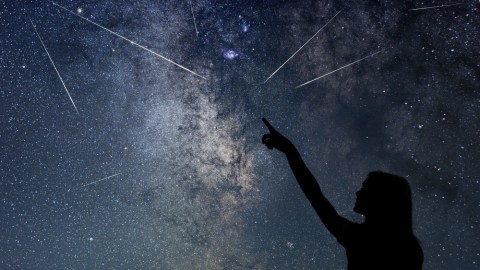 perseidas