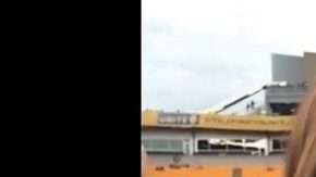 Sofía Vergara derrite a los Steelers.