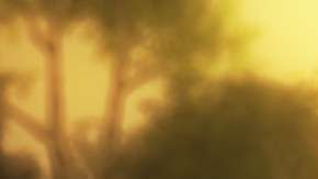 Un estudio revela qué impacto tendría en las personas si se comprueba la existencia de vida extraterrestre.