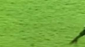 Una agresión artera se dio en la Copa Africana Sub 17.