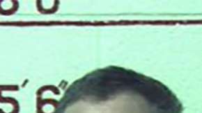 Terry Wallace, Marc Measnikoff y Matthew Brubaker.