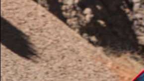 Las marcas extranjeras, mejores en confiabilidad