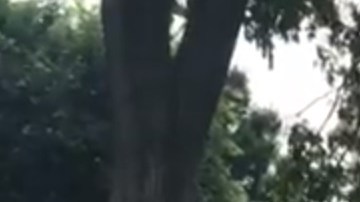 La ambulancia trasladó al miembro de la Casa Blanca a un hospital.