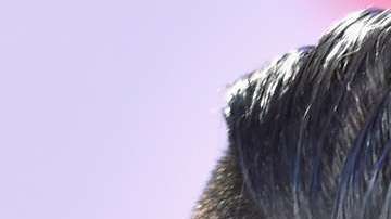 William Valdés y sus excompañeros de "Despierta América", Alan Tacher y Karla Martinez