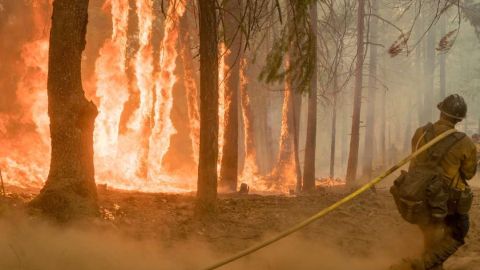 Los bomberos siguen batallando las llamas en Yosemite.