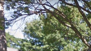 El NYPD acordonó la zona en donde fue hallada la víctima, de 48 años,