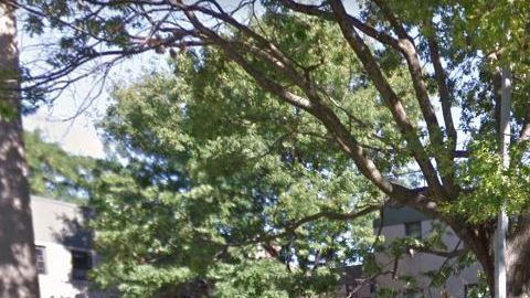 El NYPD acordonó la zona en donde fue hallada la víctima, de 48 años,