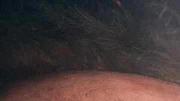 Premier de la Halloween Horror Nights 2018.