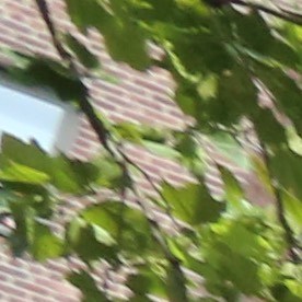 Edificio NYCHA en El Bronx/Archivo.