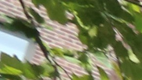 Edificio NYCHA en El Bronx/Archivo.