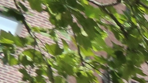 Edificio NYCHA en El Bronx/Archivo.