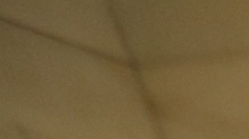 Hoy es el dia nacional para registrarse para votar en las Bibliotecas de Nueva York.