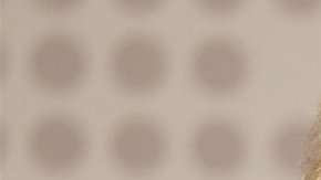 Luiz Inácio "Lula" Da Silva, ex presidente de Brasil