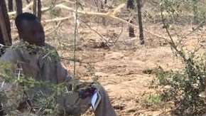 Es la mayor matanza de elefantes registrada en África.