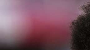 103287403_gettyimages-617560286