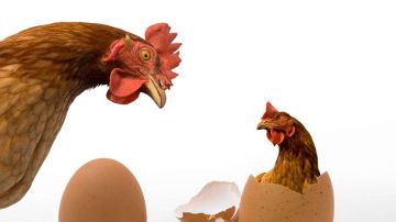 El huevo y la gallina es una metáfora, dice  la física Jacqui Romero.