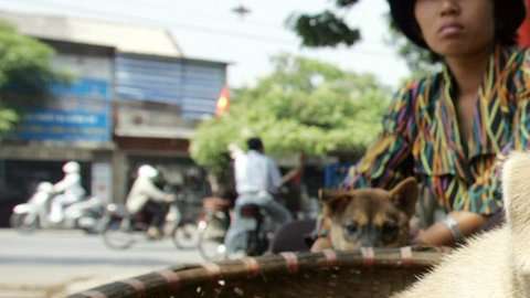 Más de mil tiendas venden carne de perro y gato en Hanoi.