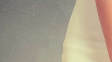 Estas parejas prefieren no tener sexi entre sí.