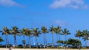 Honolulú se ha vuelto más habitable en los últimos años.