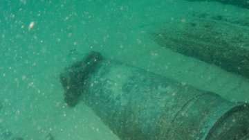 El hallazgo ocurrió cerca de la población de Cascais, en Portugal.