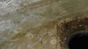 Puedes ver caras amigables donde menos te lo imaginas.