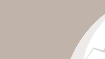 La disputa por el bebé pingüino alteró la paz en el zoológico de Odense.