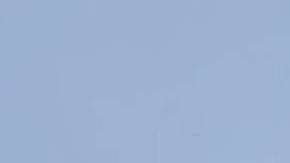 Parte del "bosque fantasma" que fue sacudido y enterrado en el océano.