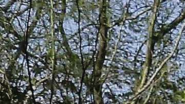 En Pima rechazan los fondos que el gobierno federal otorga a ICE y CBP.