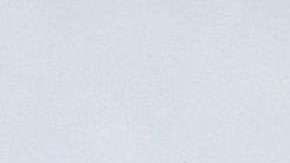 Una mujer y un niño de 4 años resultaron heridos de gravedad tras un incendio ocurrido en el vecindario Park Manor.