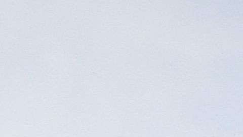 Una mujer y un niño de 4 años resultaron heridos de gravedad tras un incendio ocurrido en el vecindario Park Manor.