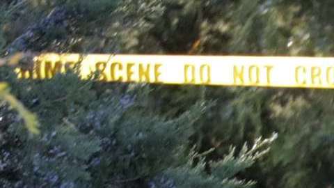 Apresaron a 24 presuntos depredadores sexuales de menores en NJ.