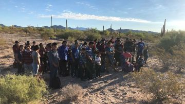 Un gran grupo de inmigrantes arrestado por CBP en Arizona.