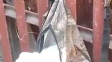 Un recolector de basura estuvo a punto de arrojar la mochila a un contenedor.