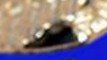 Bajo la presidencia de Trump, ha aumentado de 36 a 76 los acuerdos 287(g) con policías locales