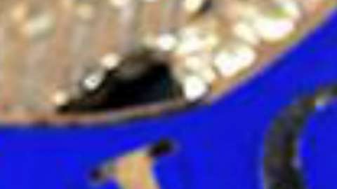 Bajo la presidencia de Trump, ha aumentado de 36 a 76 los acuerdos 287(g) con policías locales