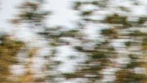 El Chevrolet Volt aparece en la lista de los más veloces... para revender