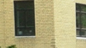 Hay alrededor de 85 mil parquímetros en NYC.