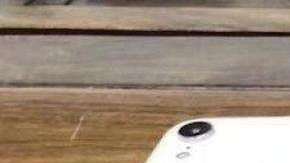 Los colores del supuesto iPhone 9.