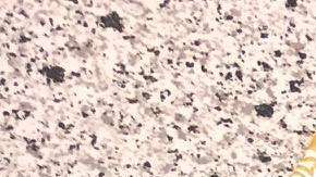 Diez mill dólares fueron hallados en un bolso.