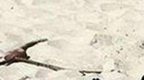 Google Maps fotografía a una pareja en una extraña postura /